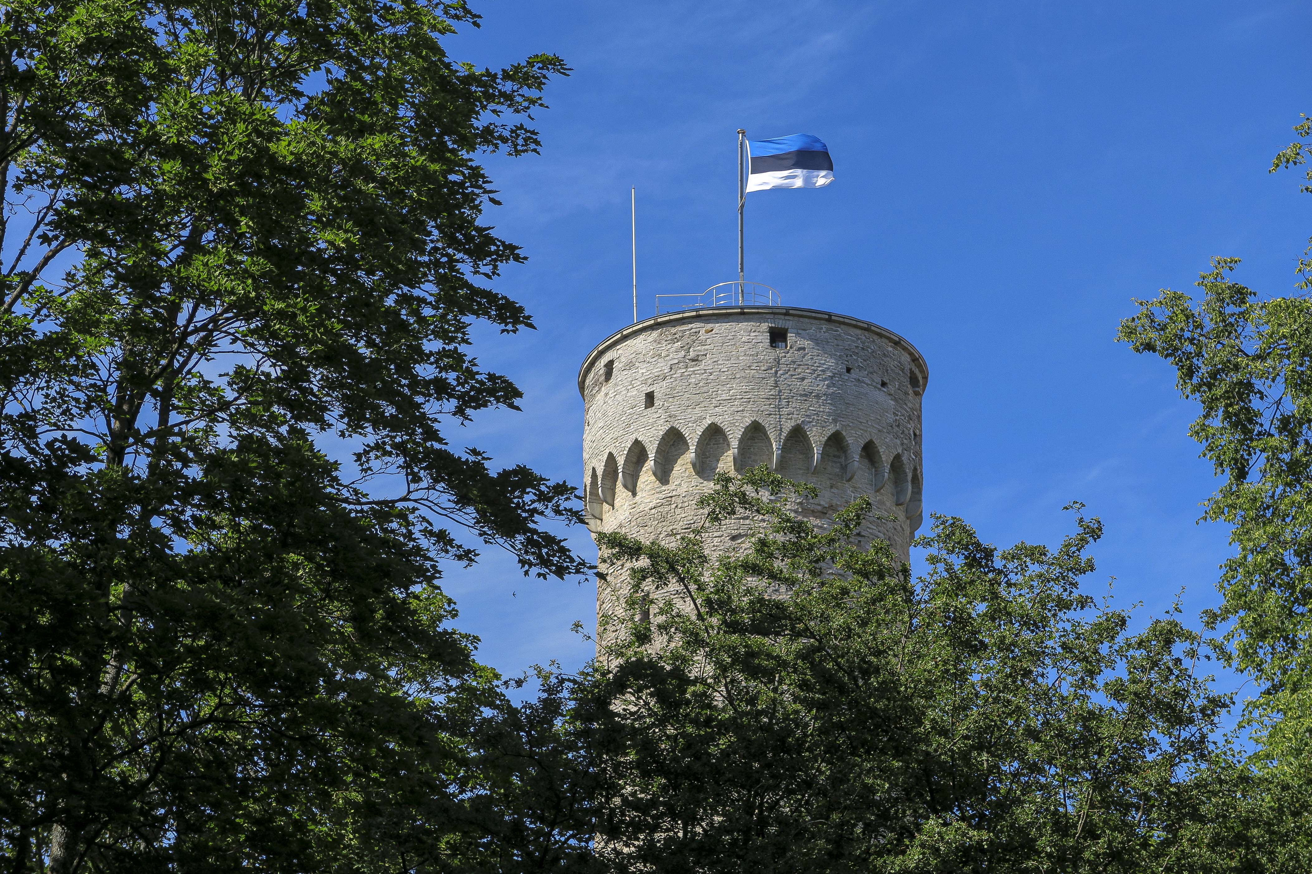 Pikk Hermann_foto Ilja Matusihis.jpg