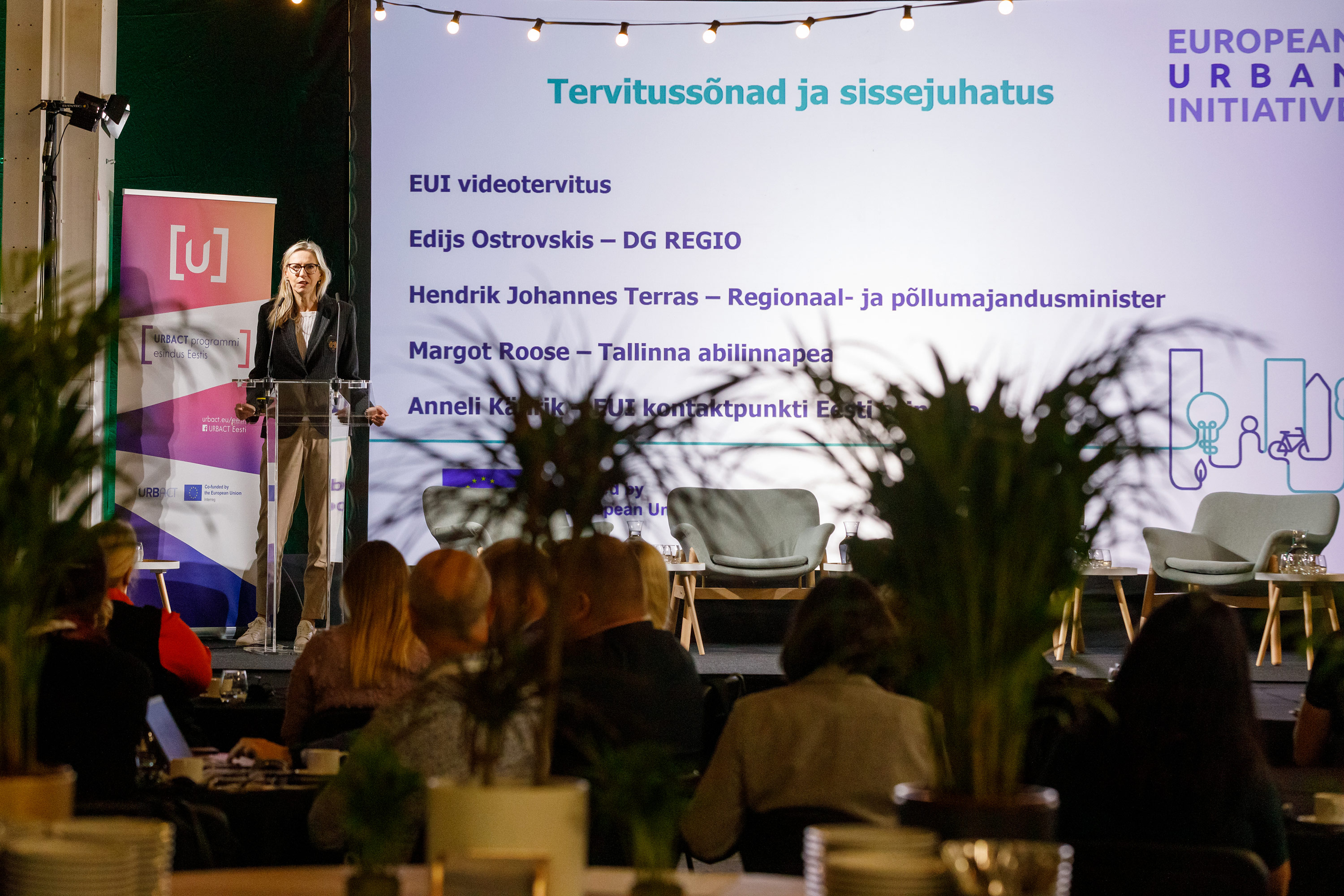 54823847342_af2d1dfa39_o (1).jpg