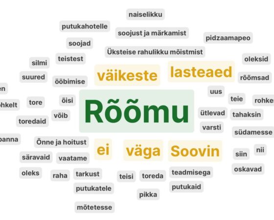 lasteaia sünnipäev.jpg