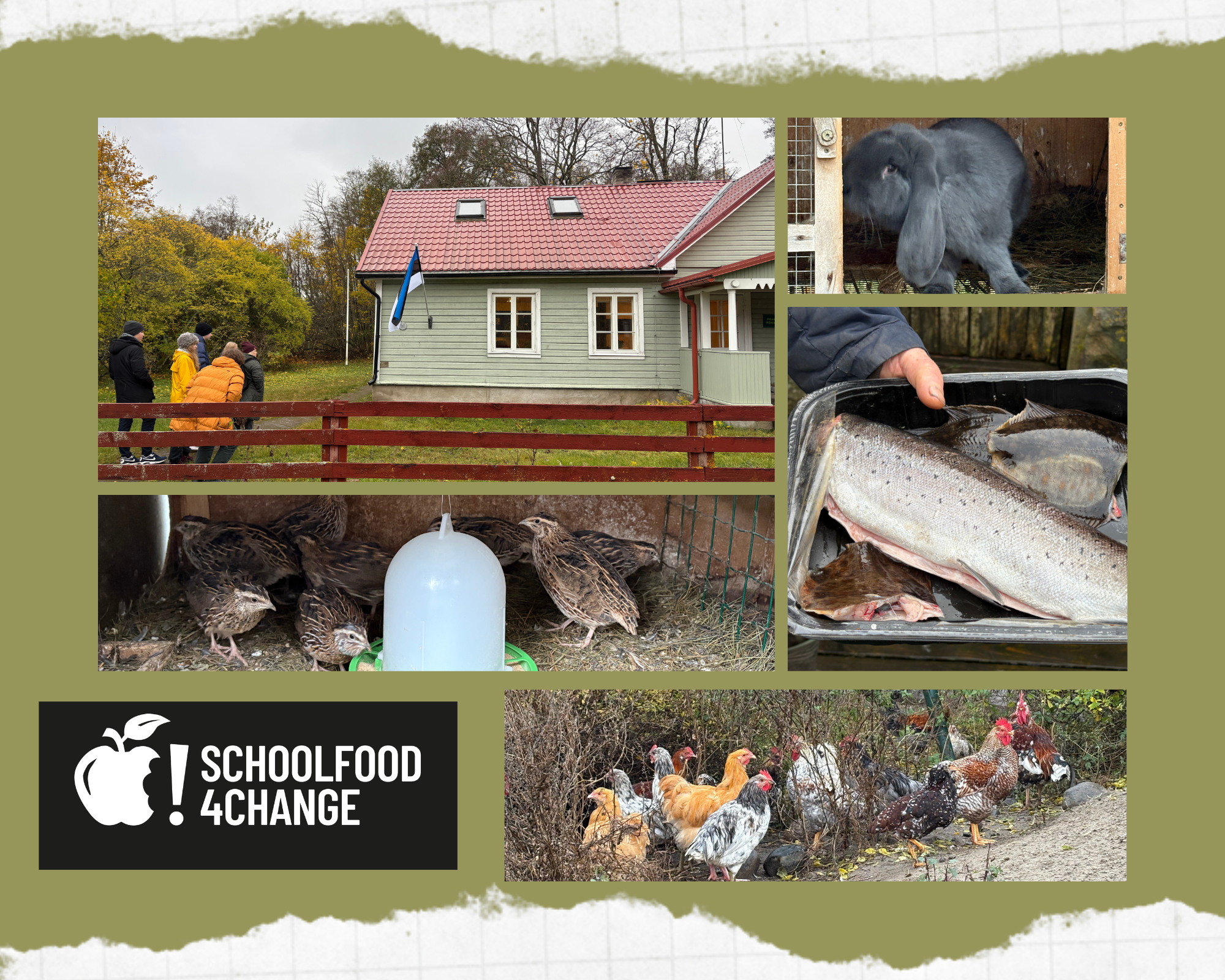 Toidusaadikud Prangli saarel