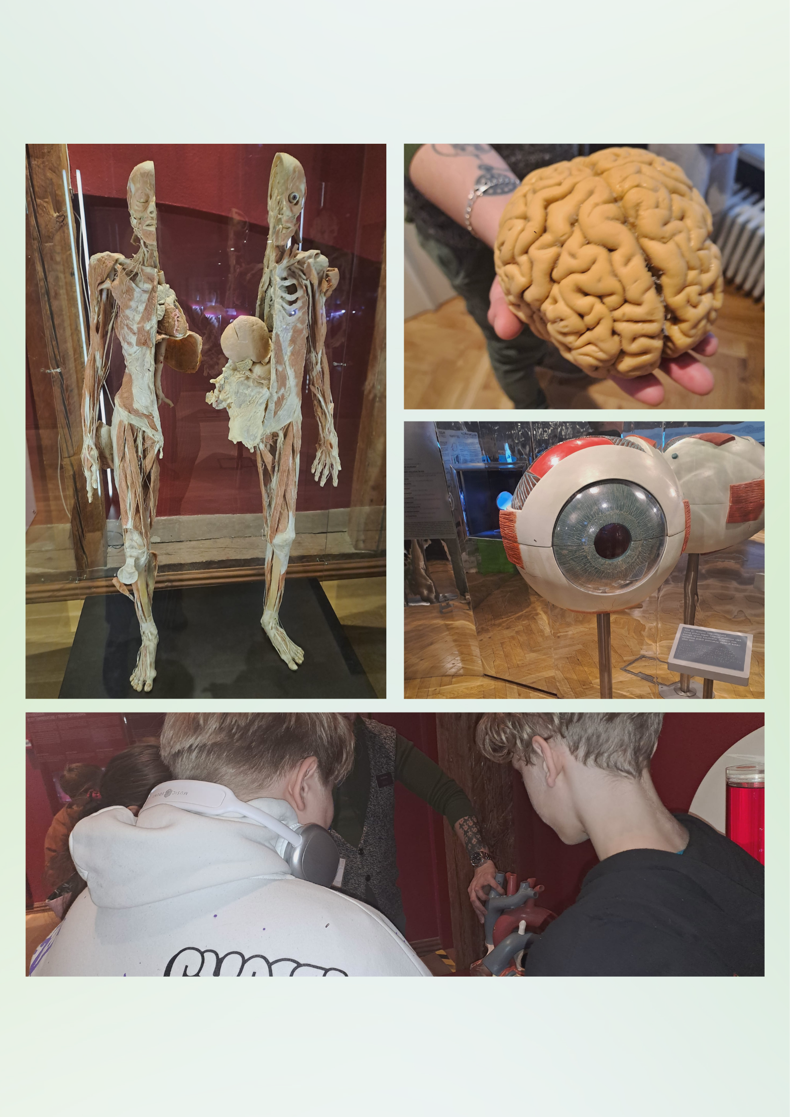 Projektõppepäev viis 5.b Tervisemuuseumisse