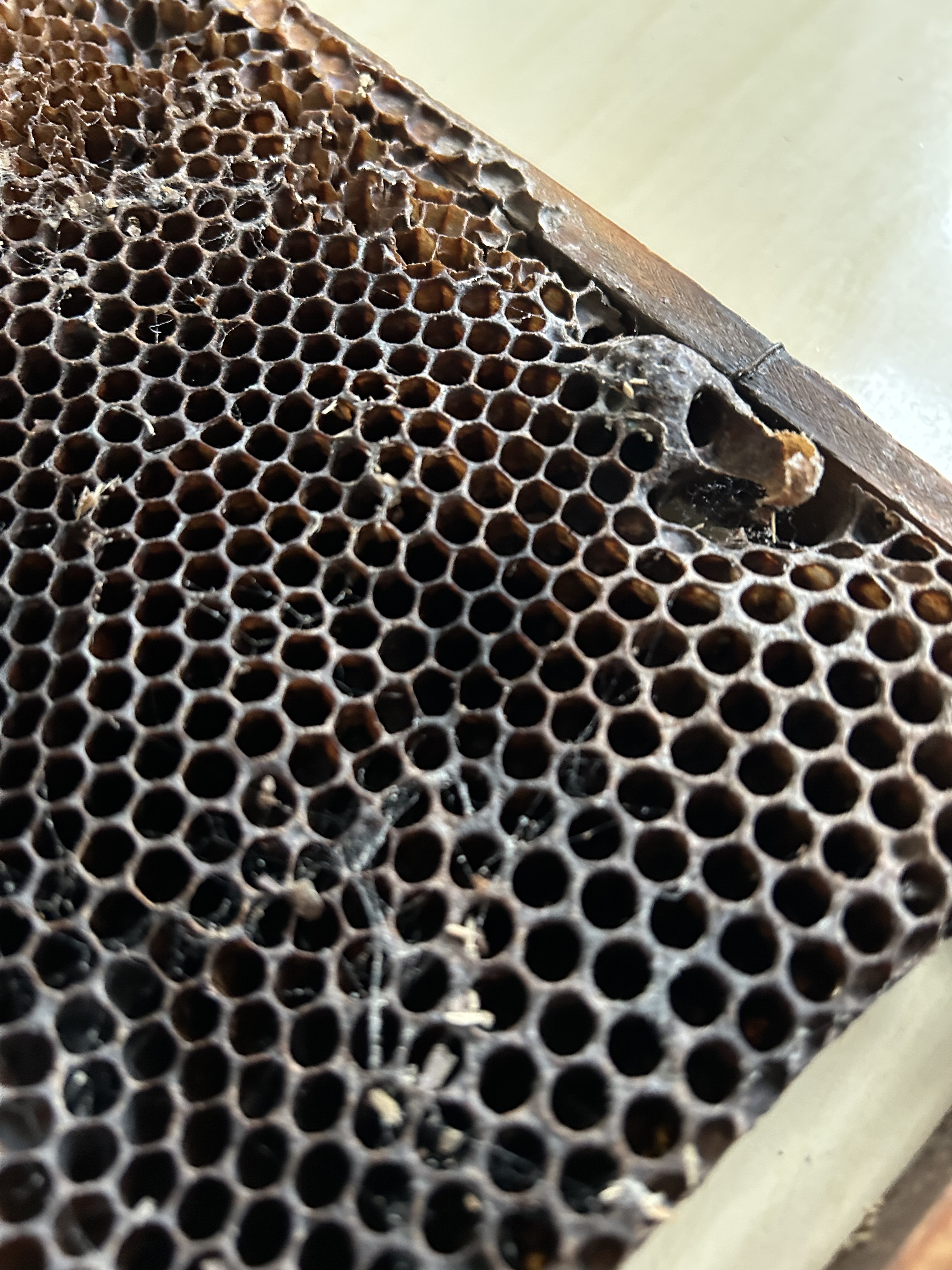 Vau!Ohhoo! Novembris ja detsembris