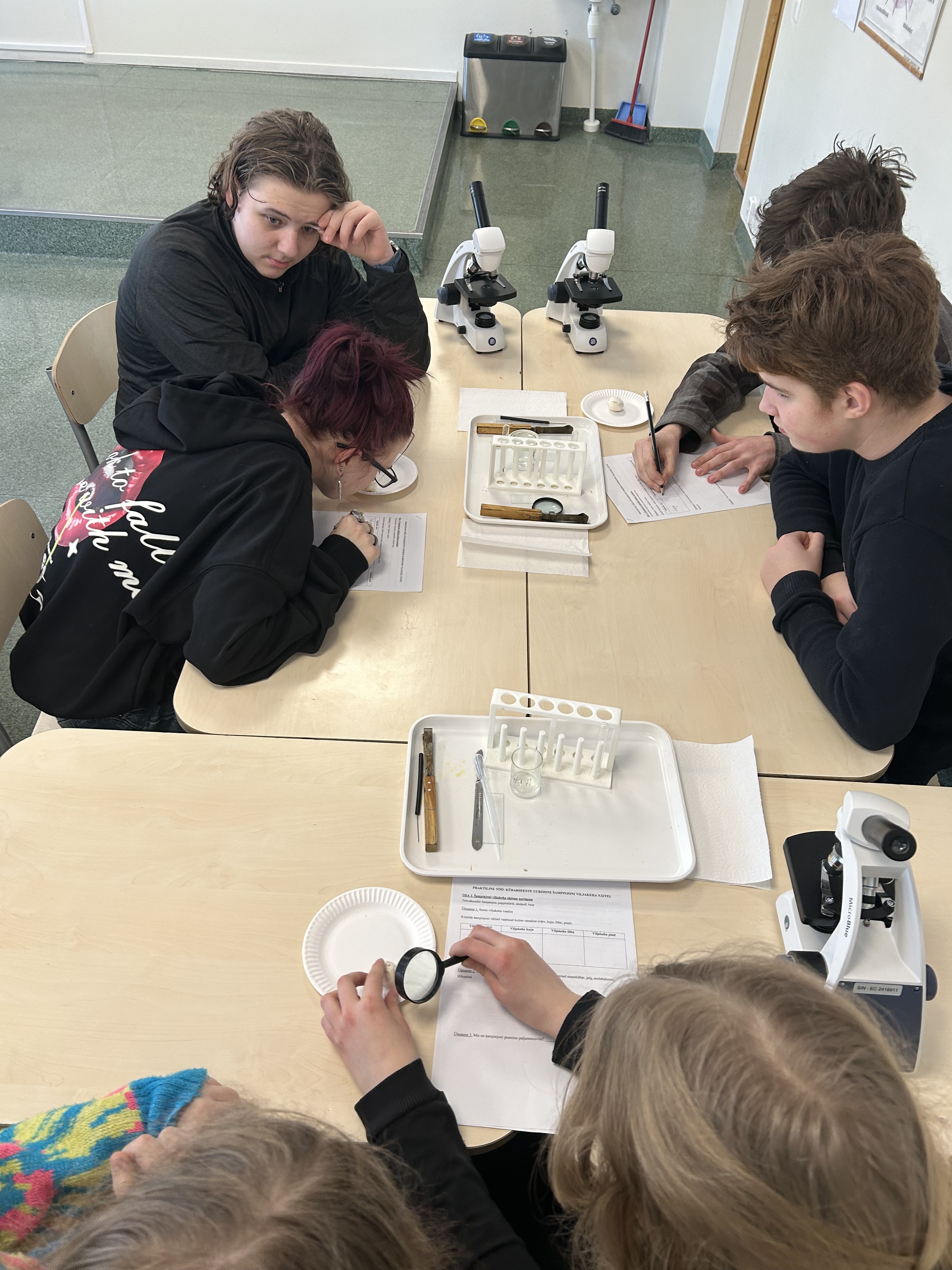 Vau!Ohhoo! õpitoad veebruaris