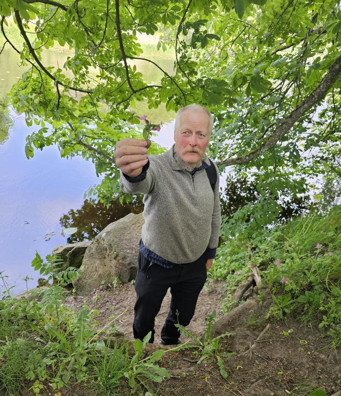 ploompuu.jpg ploompuu.jpg