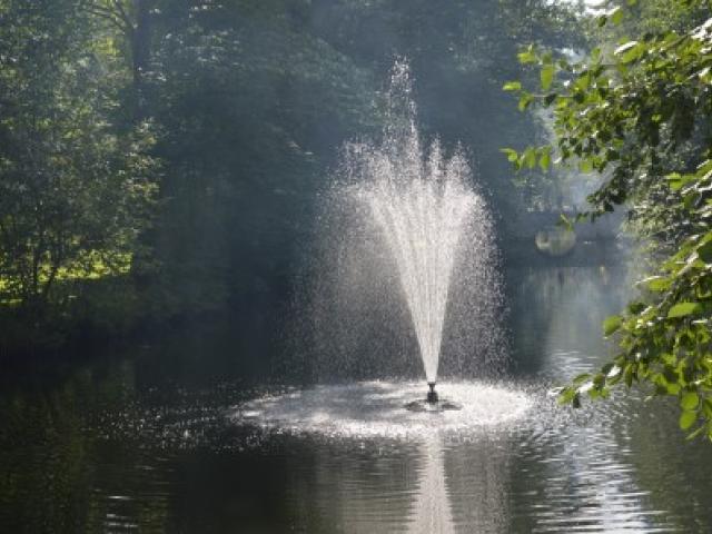 DSC_0445.JPG