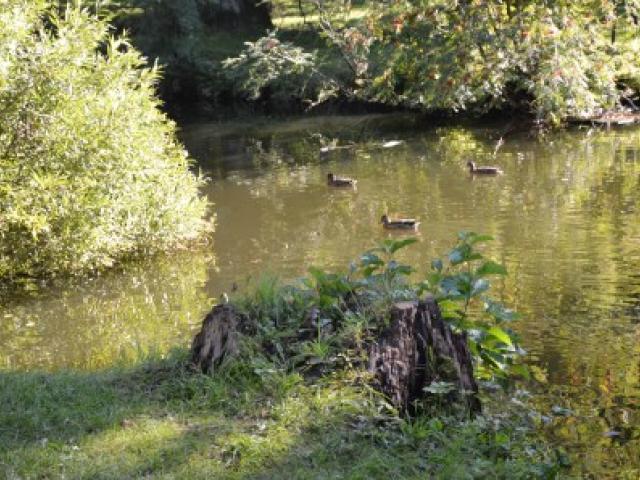 DSC_0577.JPG