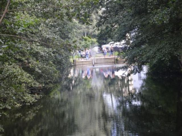 DSC_0220.JPG