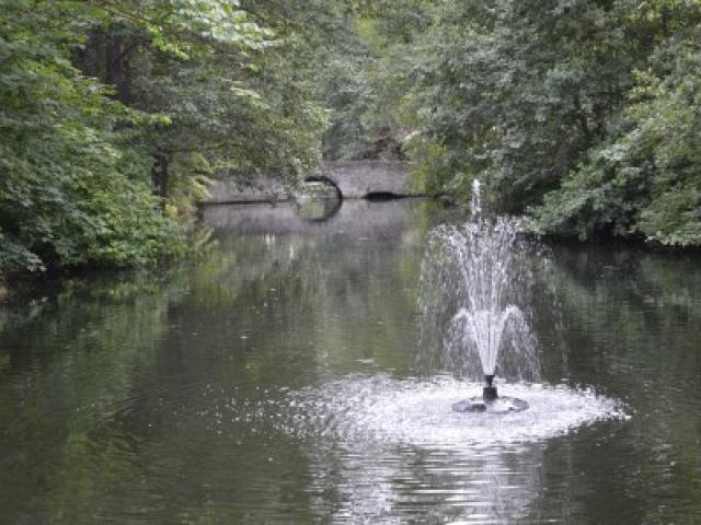 DSC_0012.JPG
