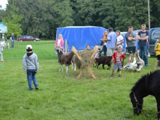 DSC_0163.JPG