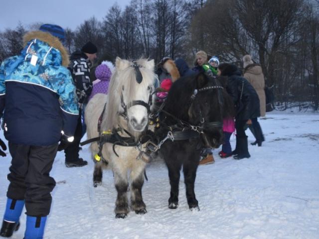 DSC_0132.JPG