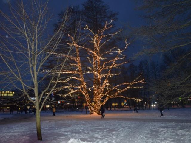 DSC_0188.JPG