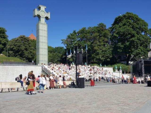 SadaSäraSilma.jpg