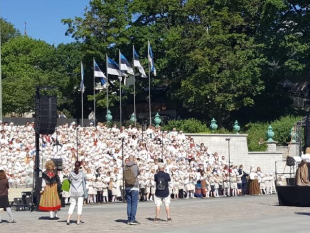 SadaSäraSilma.jpg