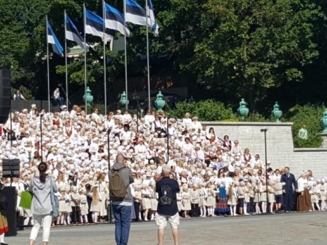 SadaSäraSilma.jpg