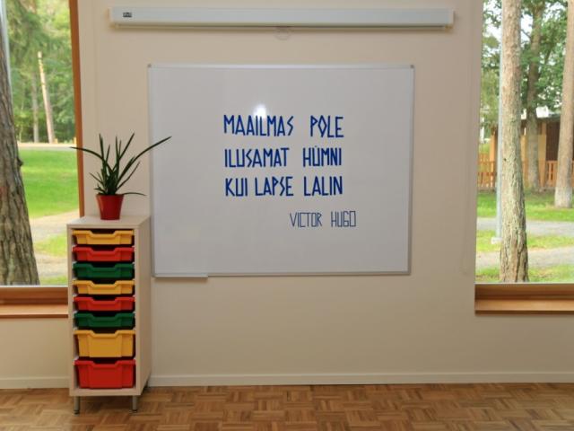 IMG_3856 (Large).jpeg