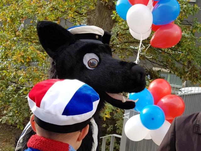 20181008_115559.jpg