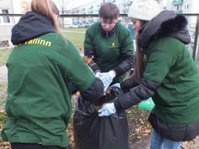 Põhja-Tallinn - Noored