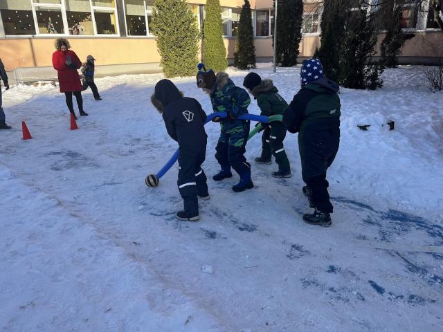 EV aastapäeva 2026 ja vastlad