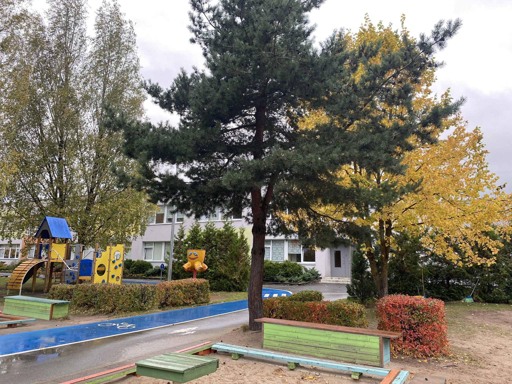 Tallinna Seli Lasteaed