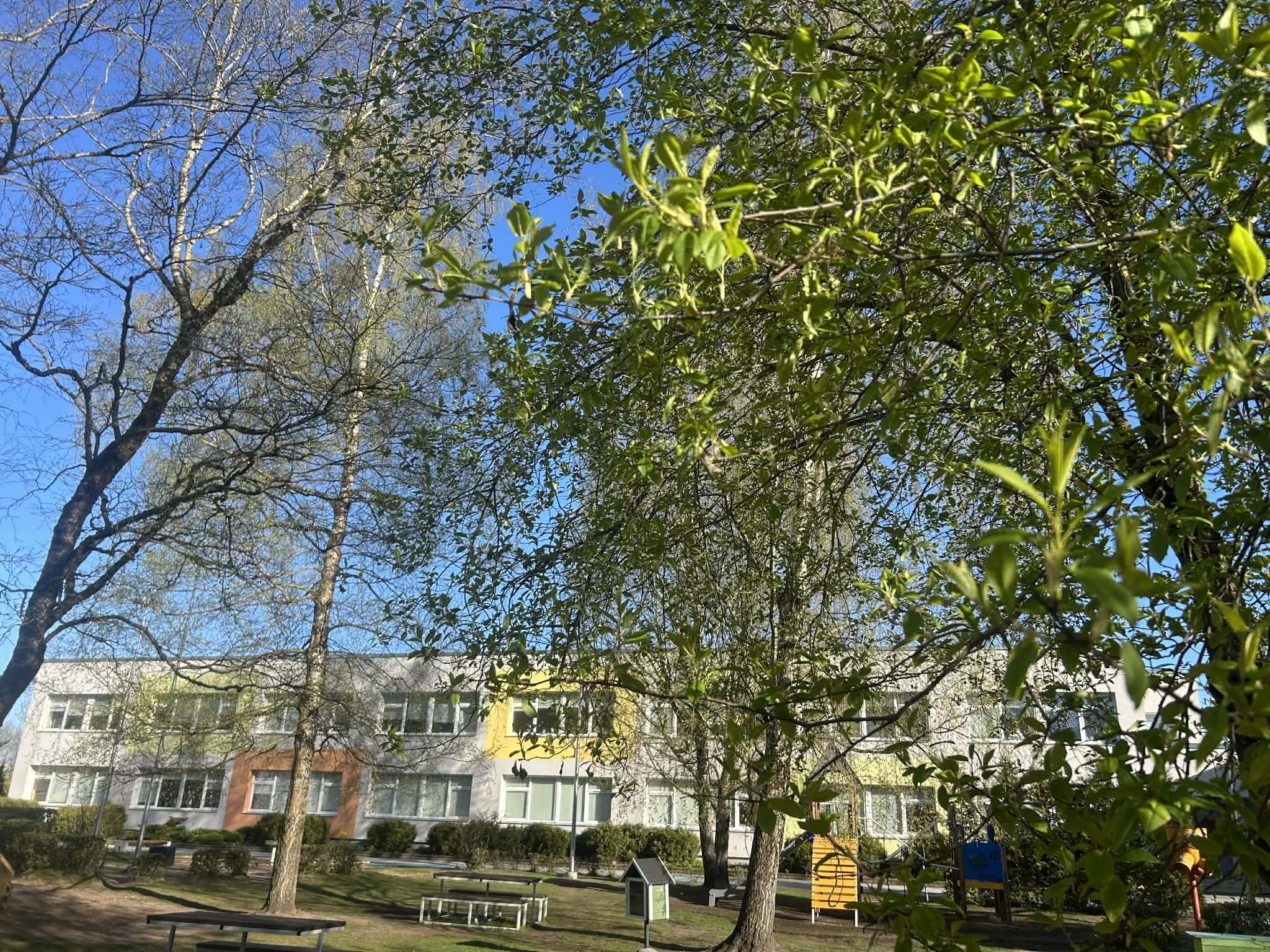 Tallinna Seli Lasteaed
