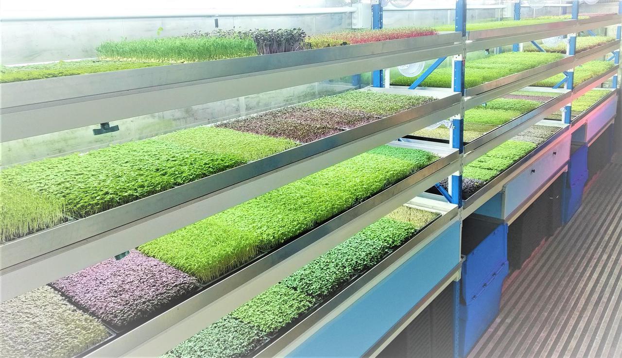 UrbanFarm Test in Tallinn projektis