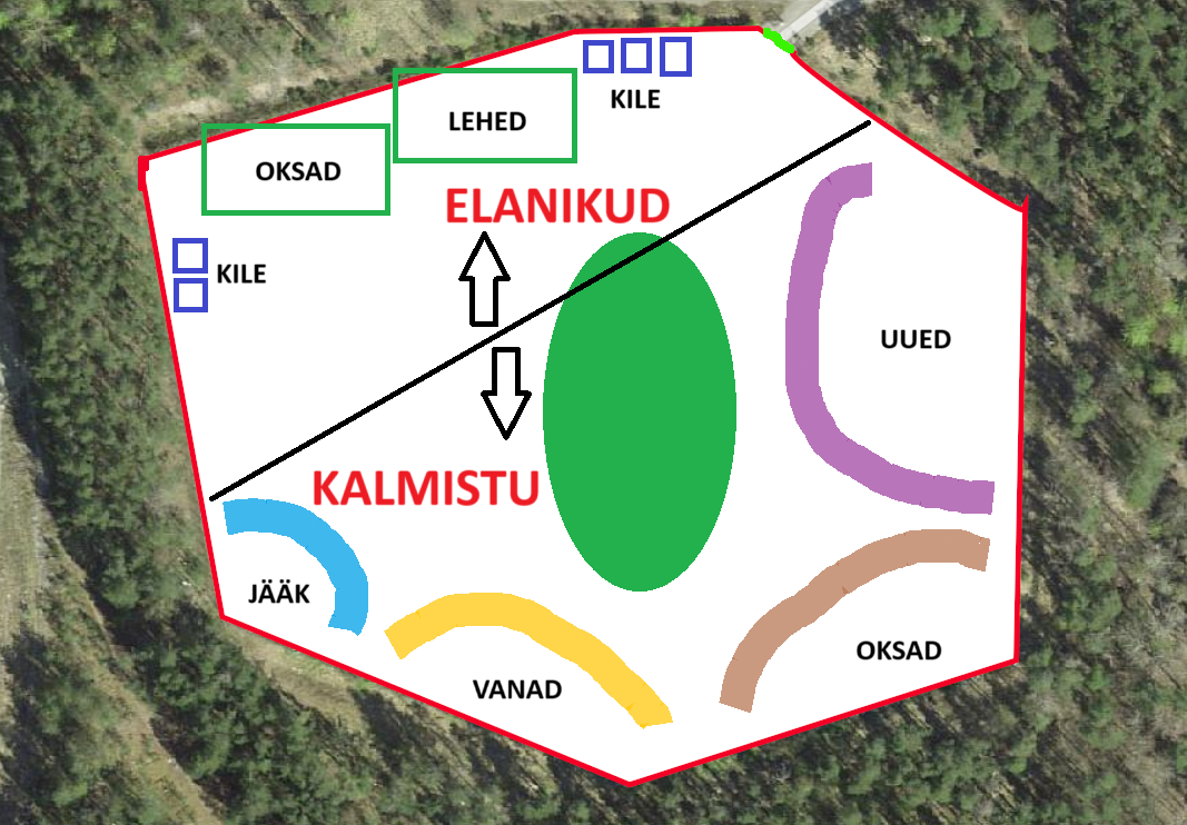 liiva_skeem_tasuta_aiajaatmed.png