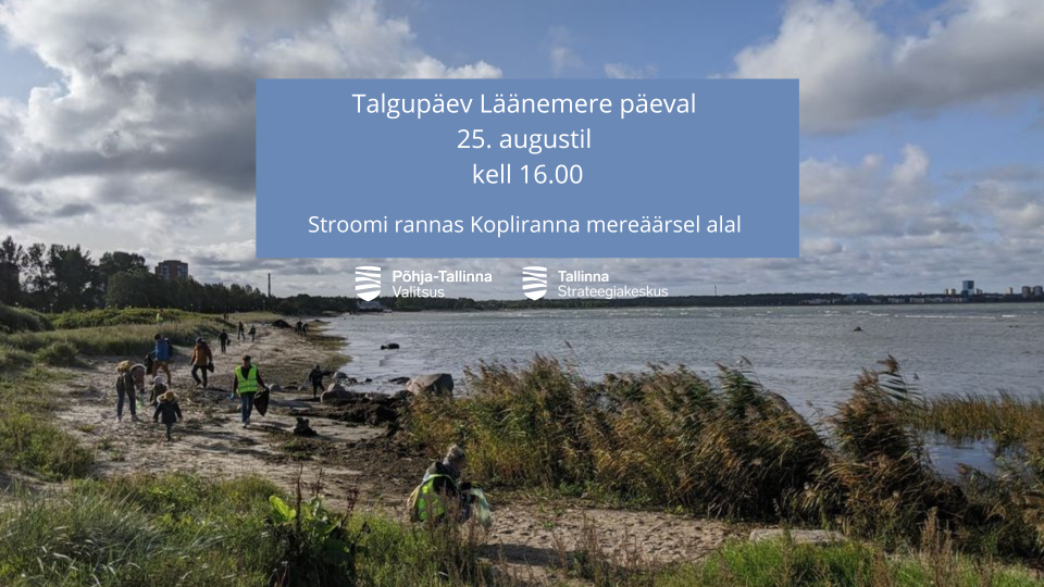 Толока в День Балтийского моря