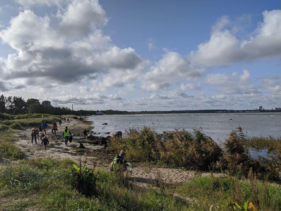 Talgupäev, Stroomi, Kopliranna