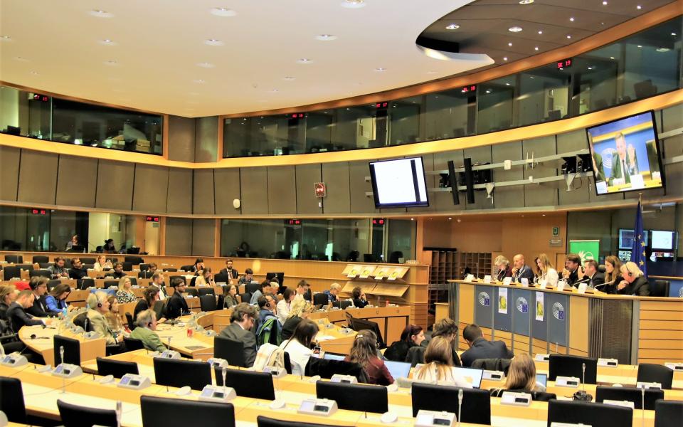 Svet Euroopa Parlamendis_0.jpg